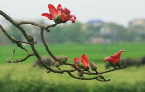Chuyện ngụ ngôn và có thật 3